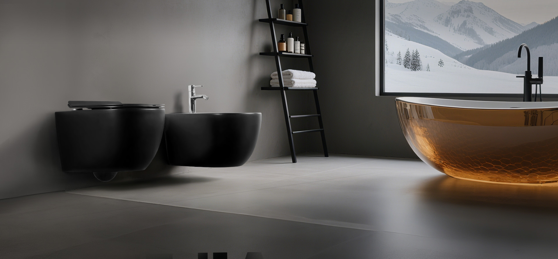Wall - hung toilet